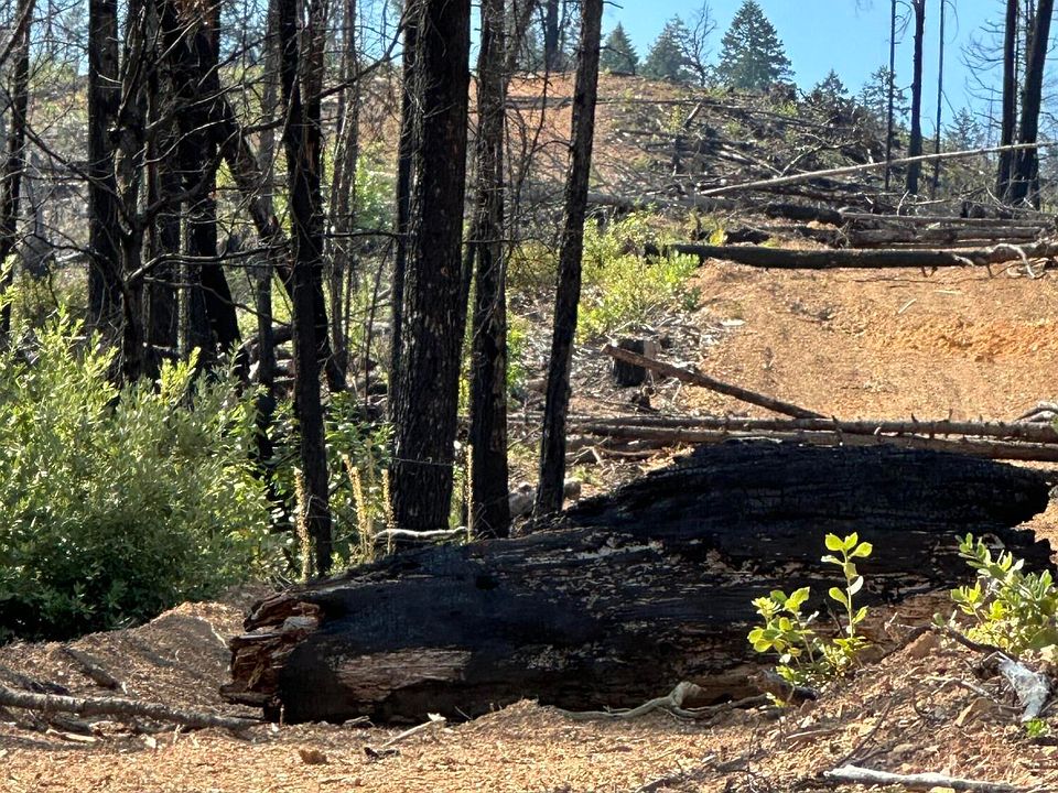 2nd image of 0 Graves Creek Rd