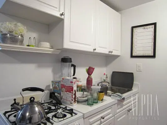 Rented by Alpha Properties NYC I LLC | media 17