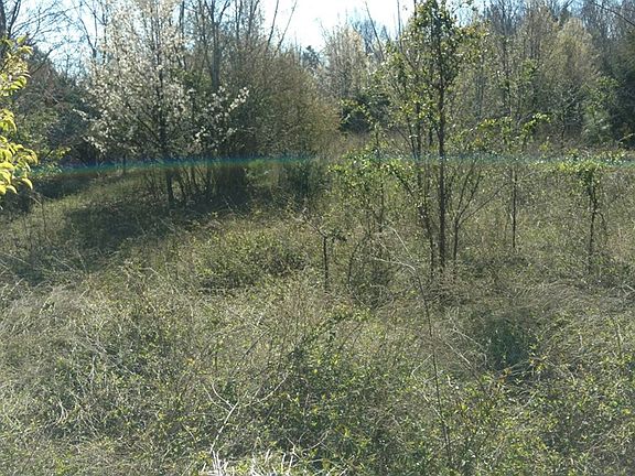 3rd image of 108 Woodfield Ln