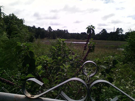 5th image of 2135 Brewster Dr