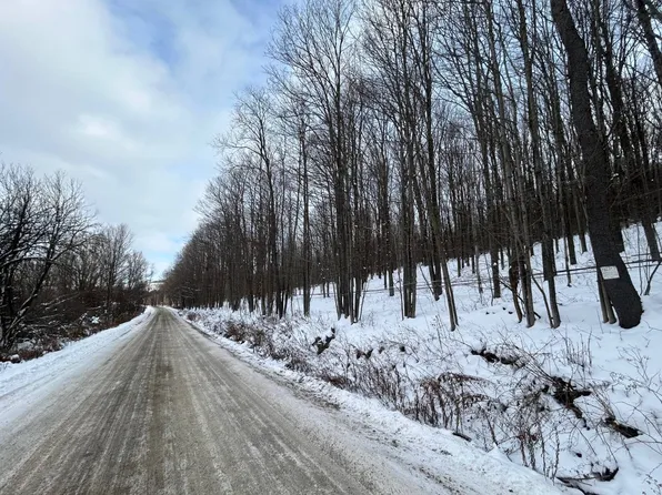 0 Dietsche Rd, Cherry Valley, NY 13320