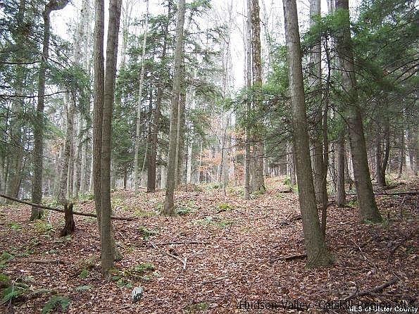 2nd image of 621 Searles Rd