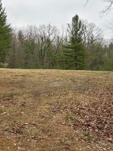 Pineview Ct, Alger, MI, 48610