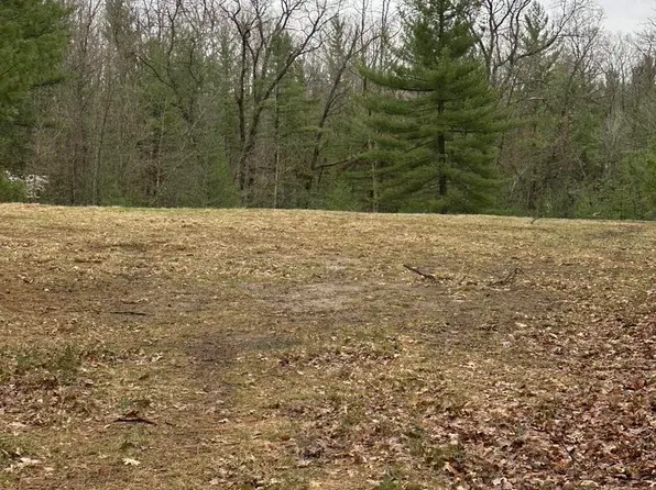 Pineview Ct, Alger, MI 48610