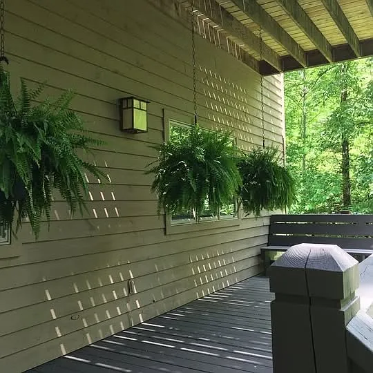 Rivermist Dr — Photo 14