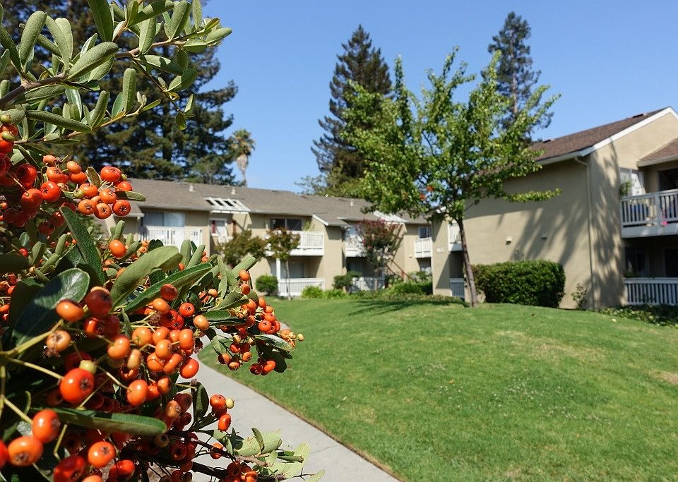 1st image of 1137 Miramar Way APT 38