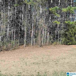0 Oscar Bradford Rd #0, Hayden, AL, 35079