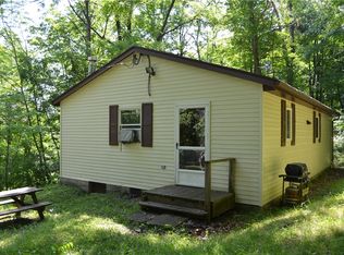 8925 Reckhow Ln, Springwater, NY 14560