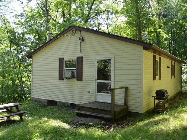 8925 Reckhow Ln, Springwater, NY 14560
