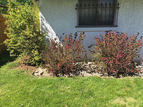 3rd image of 671 Latham Ct