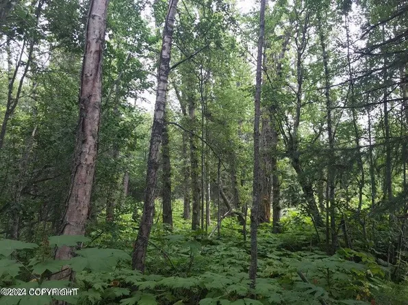 L6-B2 Agate St, Kenai, AK 99611
