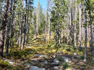 Granite Access Rd, Philipsburg, MT 59858