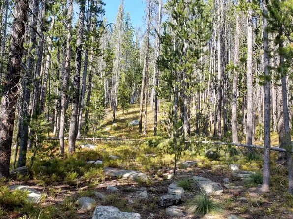 Granite Access Rd, Philipsburg, MT 59858