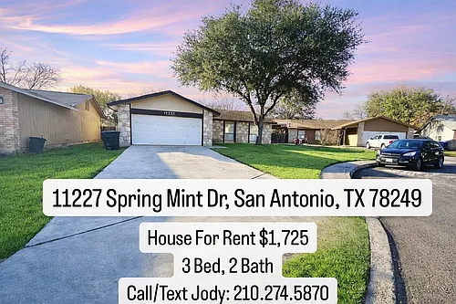 11227 Spring Mint Dr Photo 1