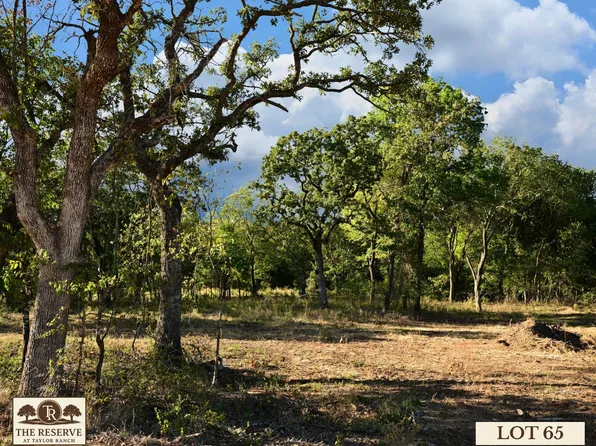 65 Camden Ln, Springtown, TX 76082