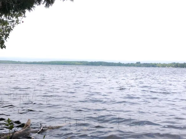 10130 W Munro Lake Dr, Levering, MI 49755