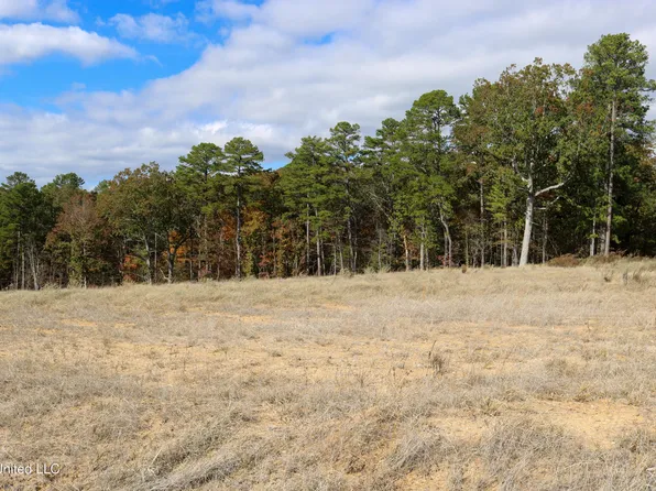 1 Hugh White State Park Rd Lot 1, Grenada, MS 38901