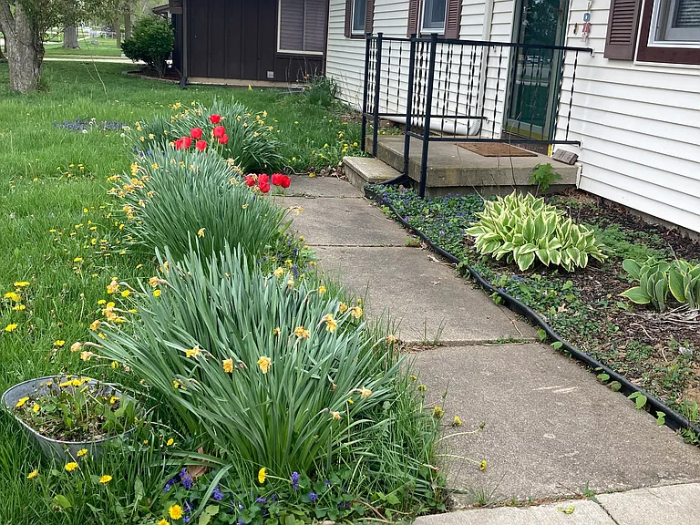 1149 Cumberland Ave — Photo 7