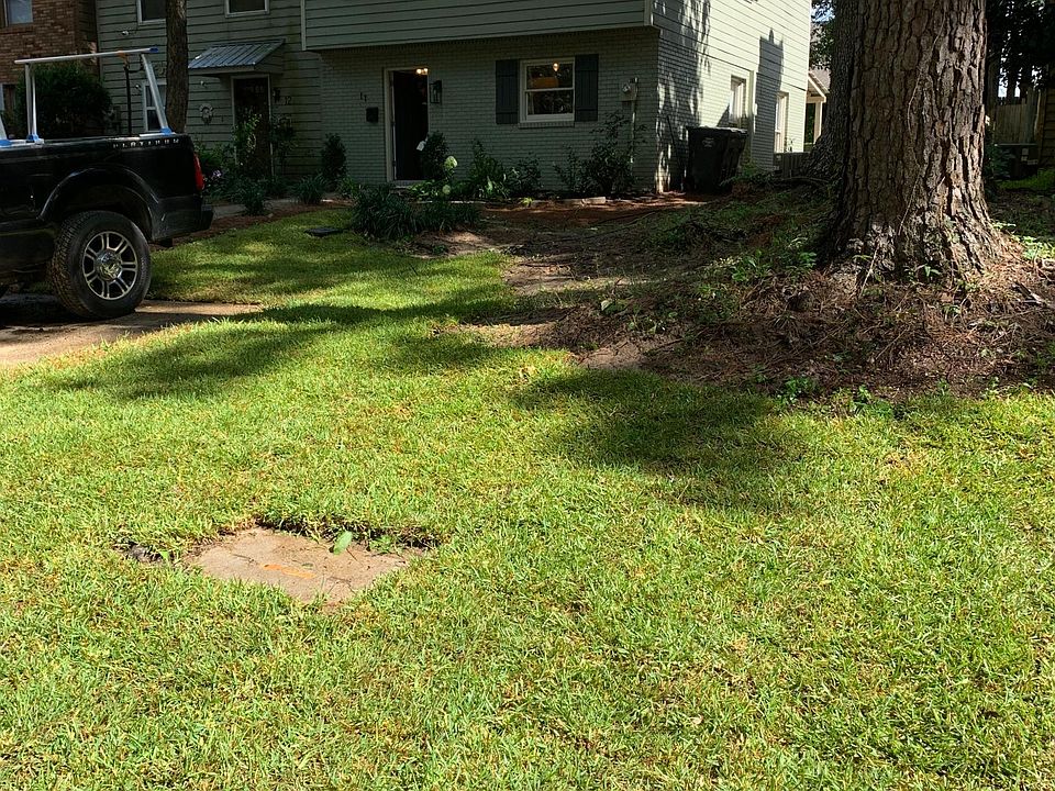 Newly sodded yard