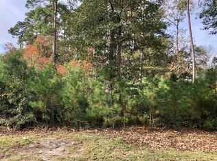 935 Four Fountains St, New Caney, TX 77357