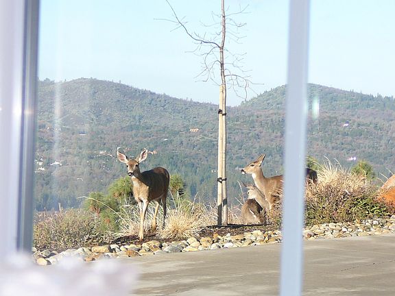 Partial view from Office