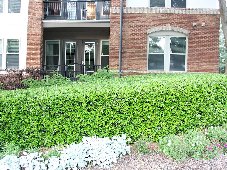 901 Abernathy Rd #2110 — Photo 61