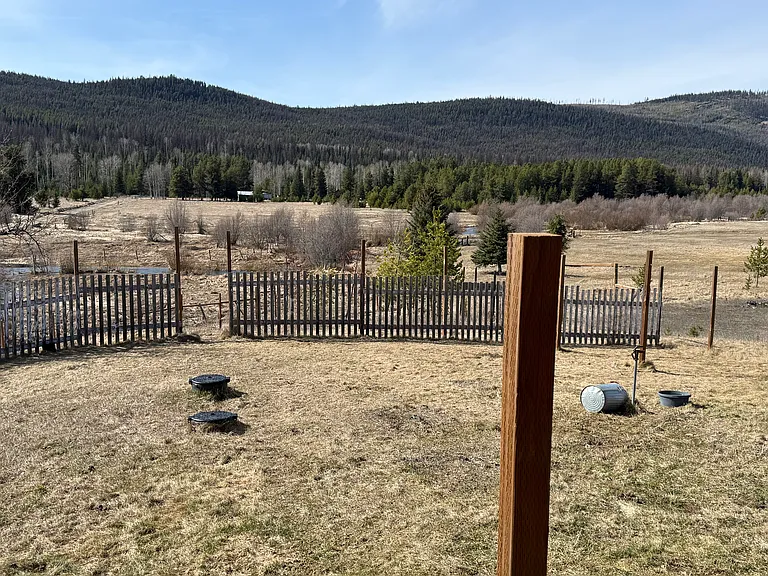 118 Old Renee Lake Rd — Photo 15