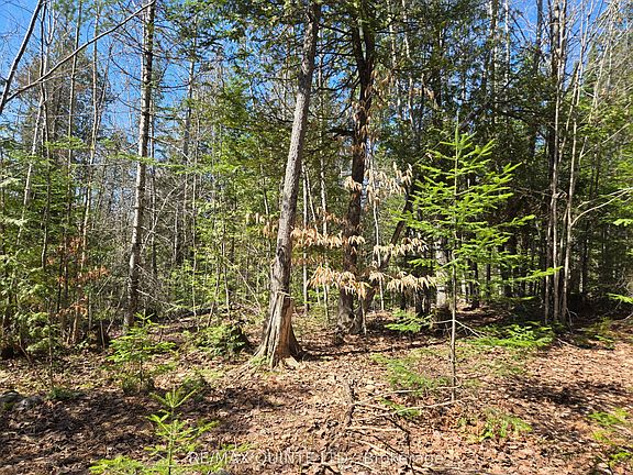 4th image of 40 Marquardt Rd