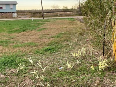 4726 Swan St, Hitchcock, TX, 77563