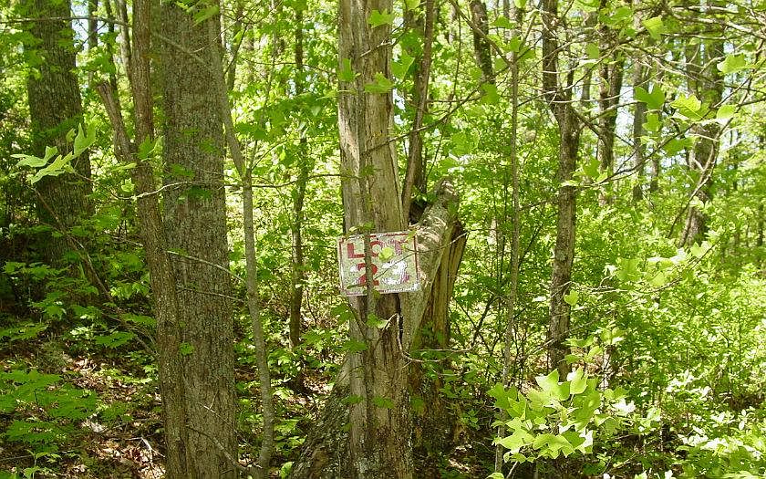2nd image of 736 Deer Ln #23