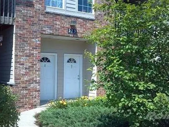 529 Lawson School Rd #60, Delavan, WI 53115