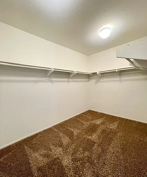 2514 Hidden Creek St — Photo 12