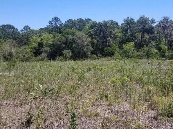 316 Bass Ln, Poinciana, FL 34759