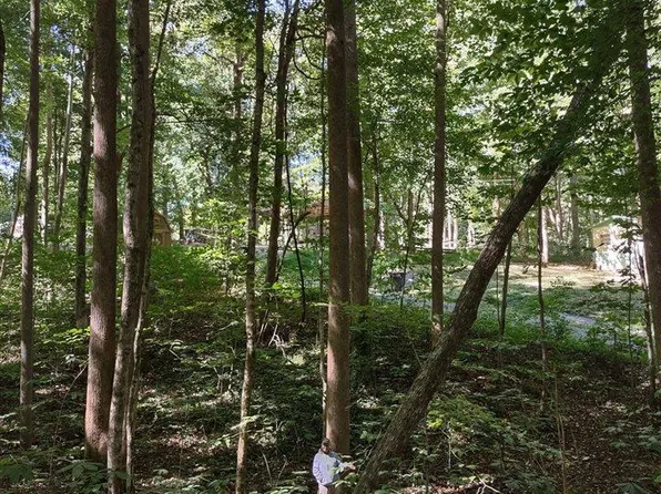 71 Bull Frog Trl, Scottsville, KY 42164