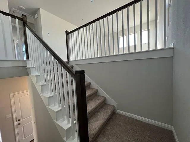 1006 Pinyon Cv — Photo 46