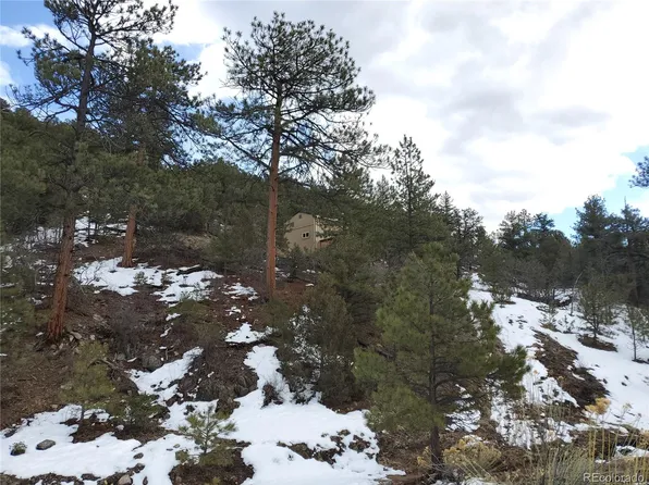 678 Maurice Drive, Cotopaxi, CO 81223