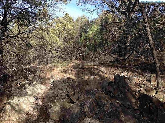 5th image of 28 Cherokee Trl