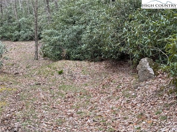 62+/- Acres Buckeye Ridge Road, Beech Mountain, NC 28604