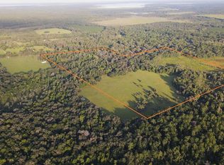11816 SE County Road 234, Micanopy, FL 32667
