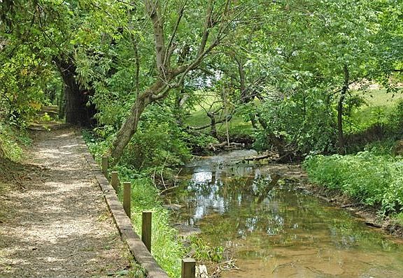 Wooded walking trail