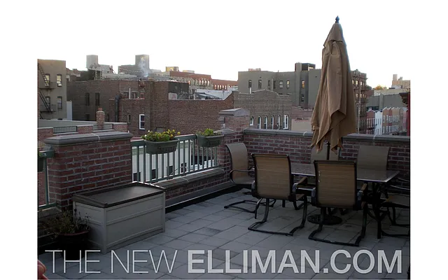 Rented by Douglas Elliman | media 19