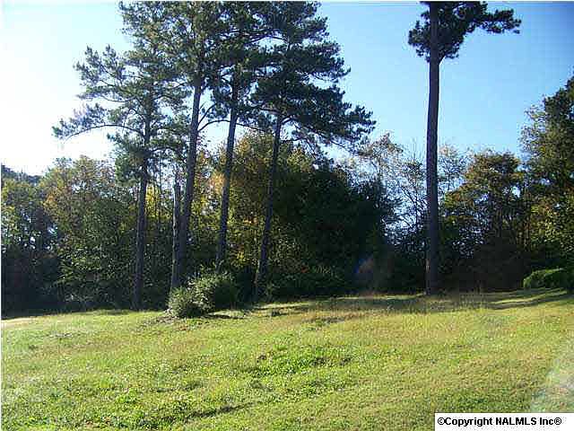 2nd image of 2410 Ermine Dr