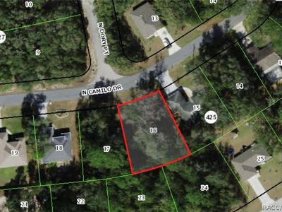 2992 W Camilo Dr, Citrus Springs, FL, 34434