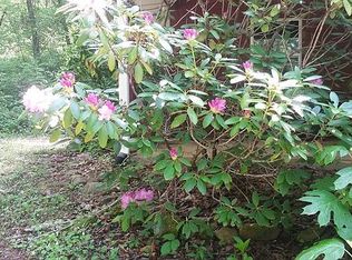 1632 E Buffalo Rd, Robbinsville, NC 28771