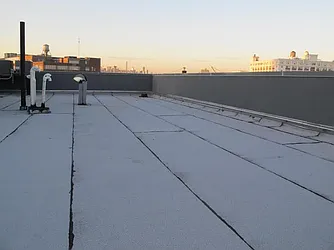 Rented by P Management