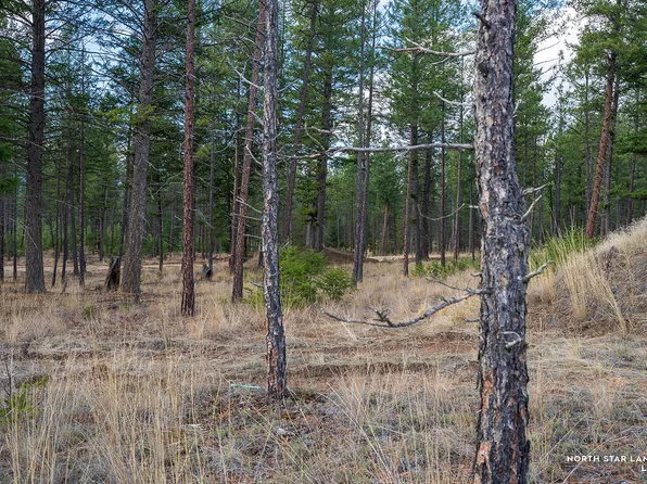 56 Dropping Draw North Star Lndg, Eureka, MT 59917