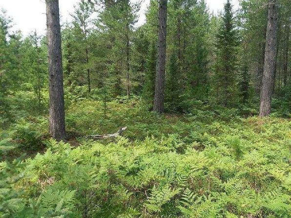 0 W Edge Rd, Germfask, MI 49836