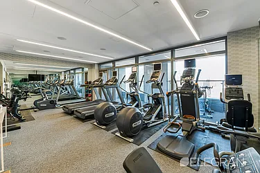 Rented by (Legacy) Elegran