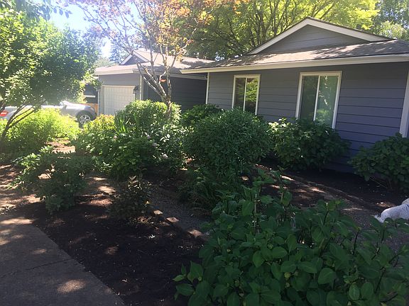 Low Maintenance Front Yard