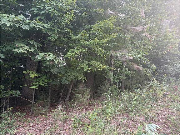 4th image of LOT 1 Edgewood Rd